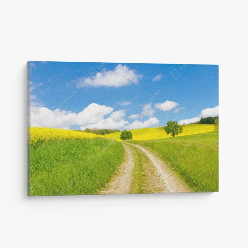 Leinwandbild weiße rose vor schwarzem hintergrund – Wallnifity®