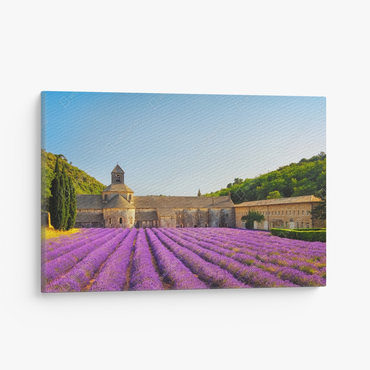Leinwandbild lavendelfelder bei Abtei Sénanque, Provence – Wallnifity®