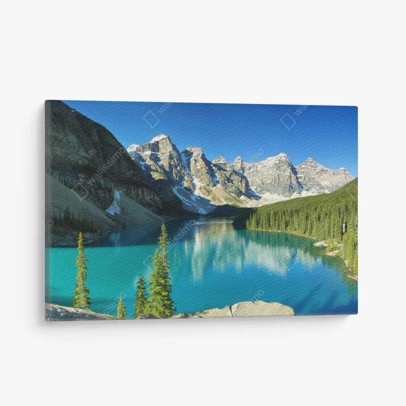 Leinwandbild nebeliger mamutbaumwald im goldenen vintagelicht – Wallnifity®