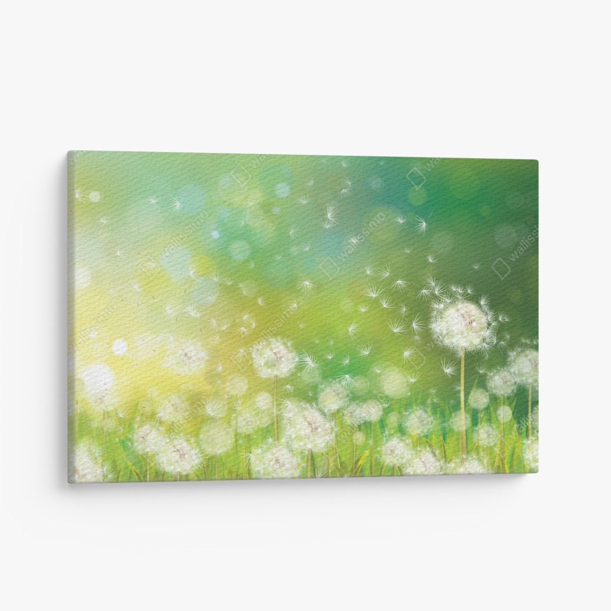 Leinwandbild frühlingswiese mit löwenzahn – Wallnifity®