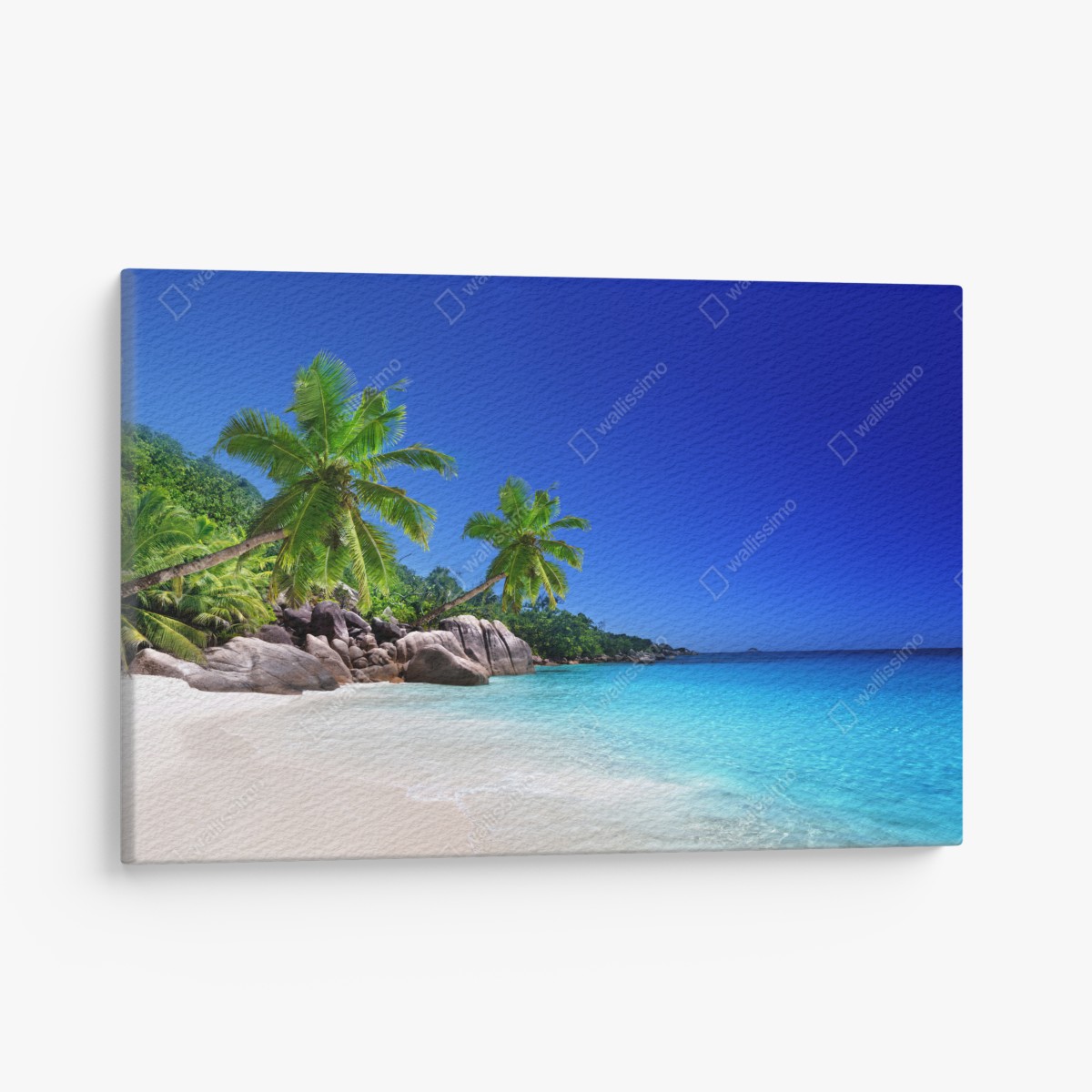 Leinwandbild tropischer strand mit türkisfarbenem wasser und palmen – Wallnifity®
