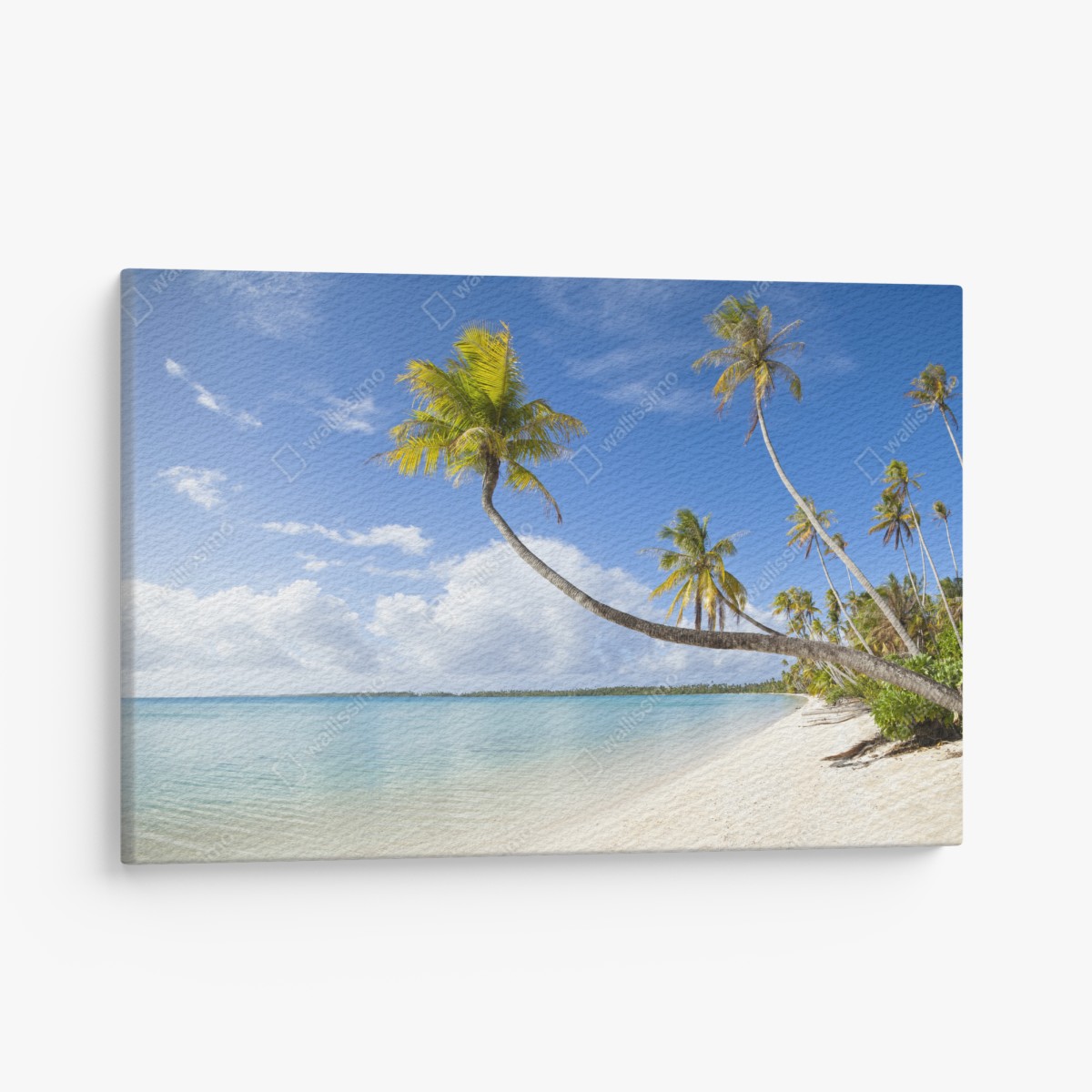 Leinwandbild tropischer türkisblauer strand mit geneigter palme – Wallnifity®