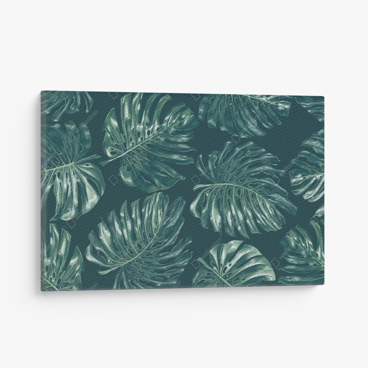 Leinwandbild tropisches monstera-blattmuster – Wallnifity®