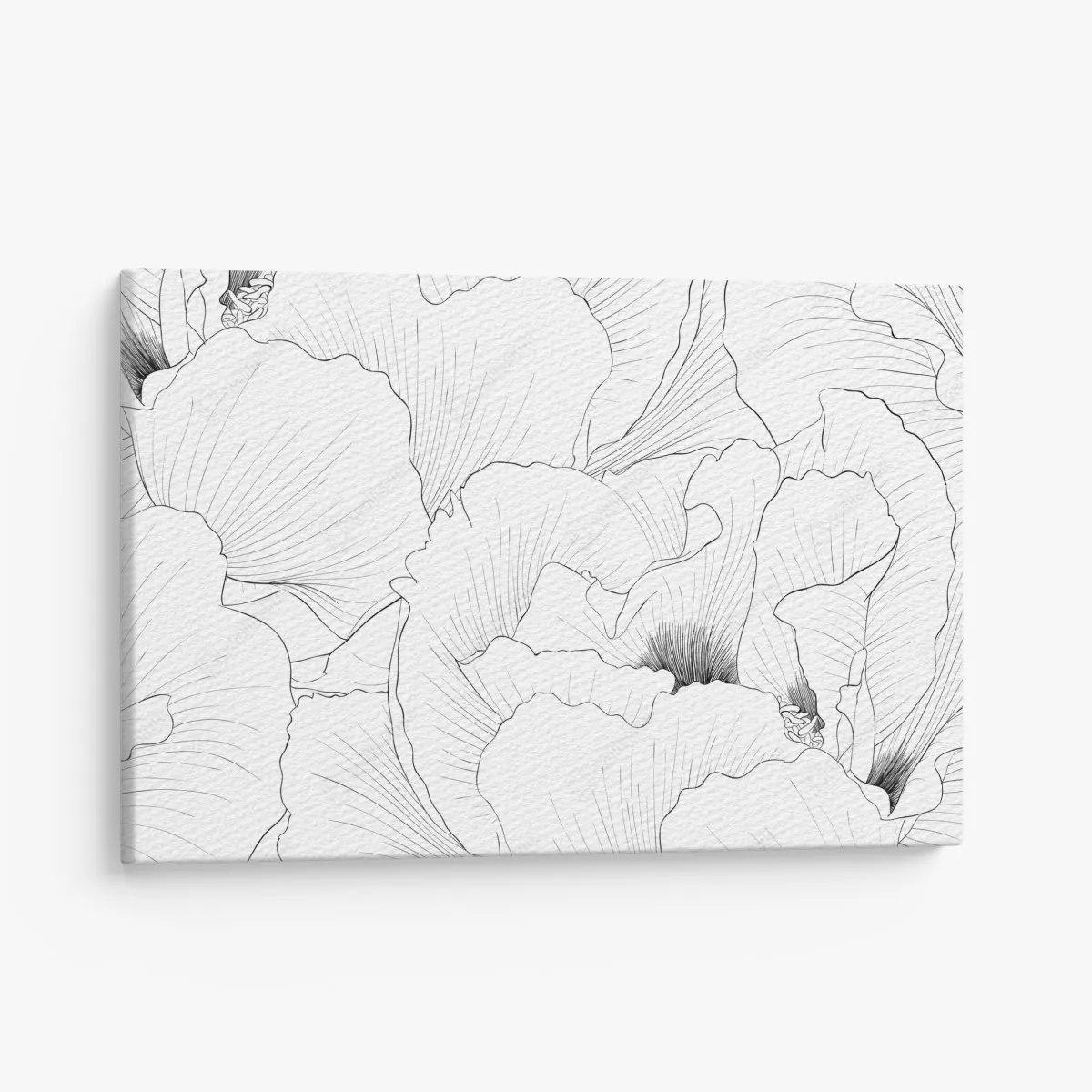 Leinwandbild feine botanische linienzeichnung mit blumen – Wallnifity®