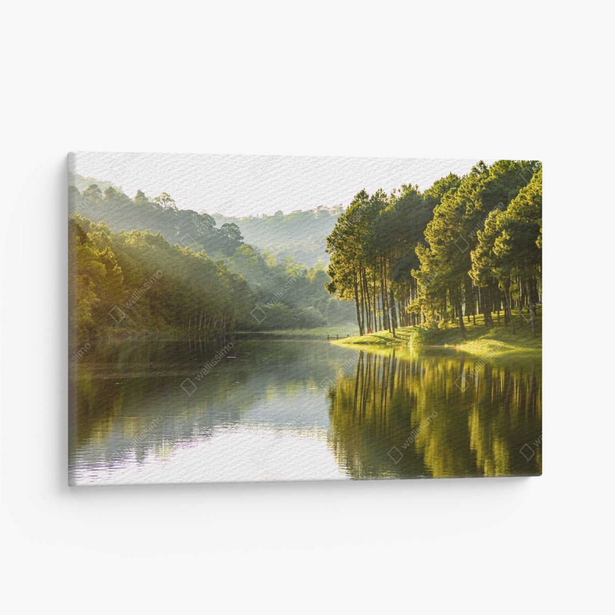 Leinwandbild ruhiger kiefernwald am stillen see – Wallnifity®