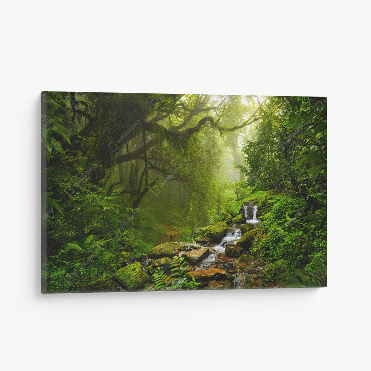 Leinwandbild üppiger nebliger waldwasserfall – Wallnifity®