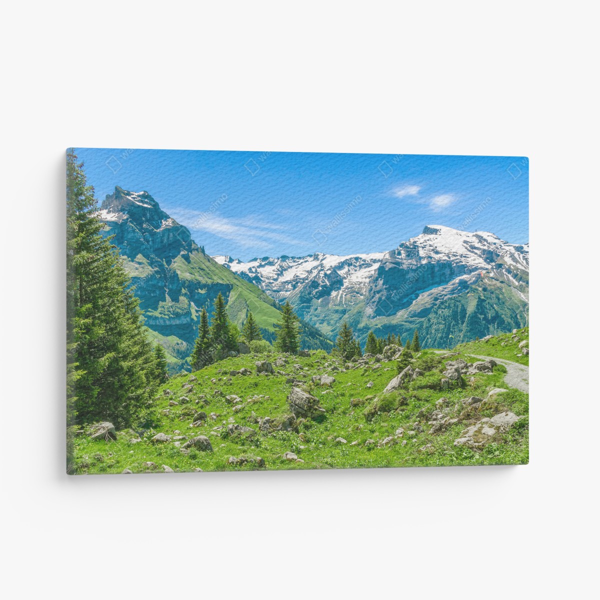 Leinwandbild sonnige alpwiese in Engelberg – Wallnifity®