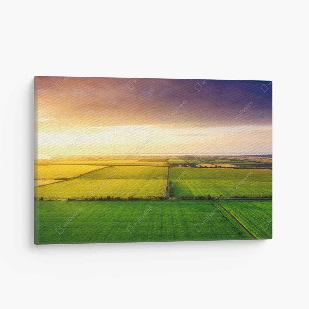 Leinwandbild sonnenuntergang über grünen feldern – Wallnifity®