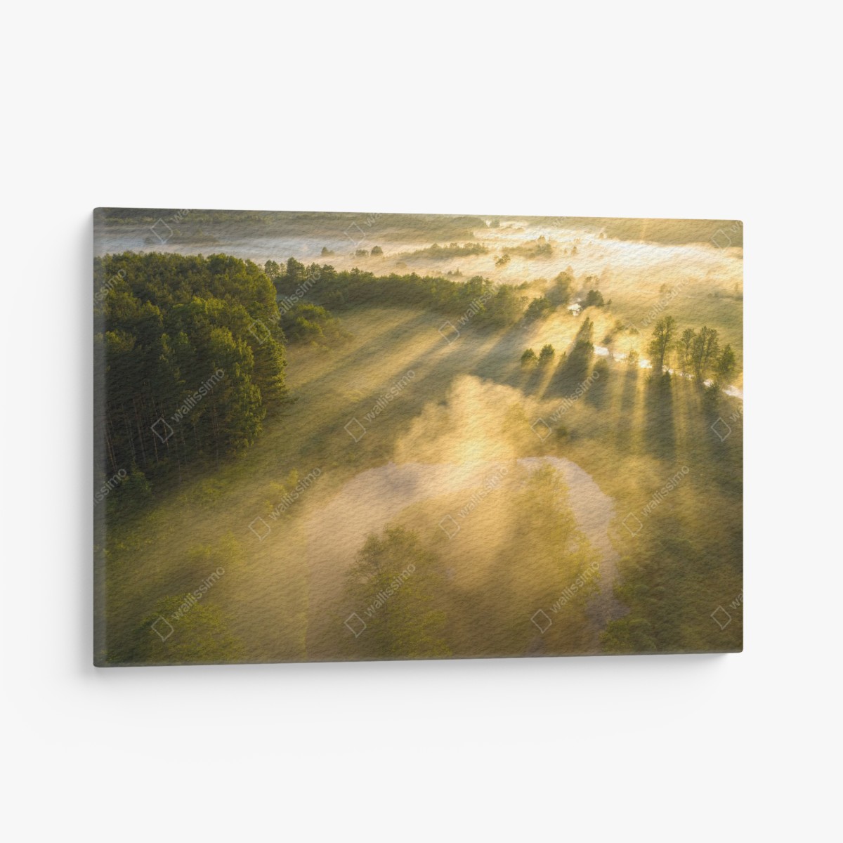 Leinwandbild goldener morgen über nebligem fluss – Wallnifity®