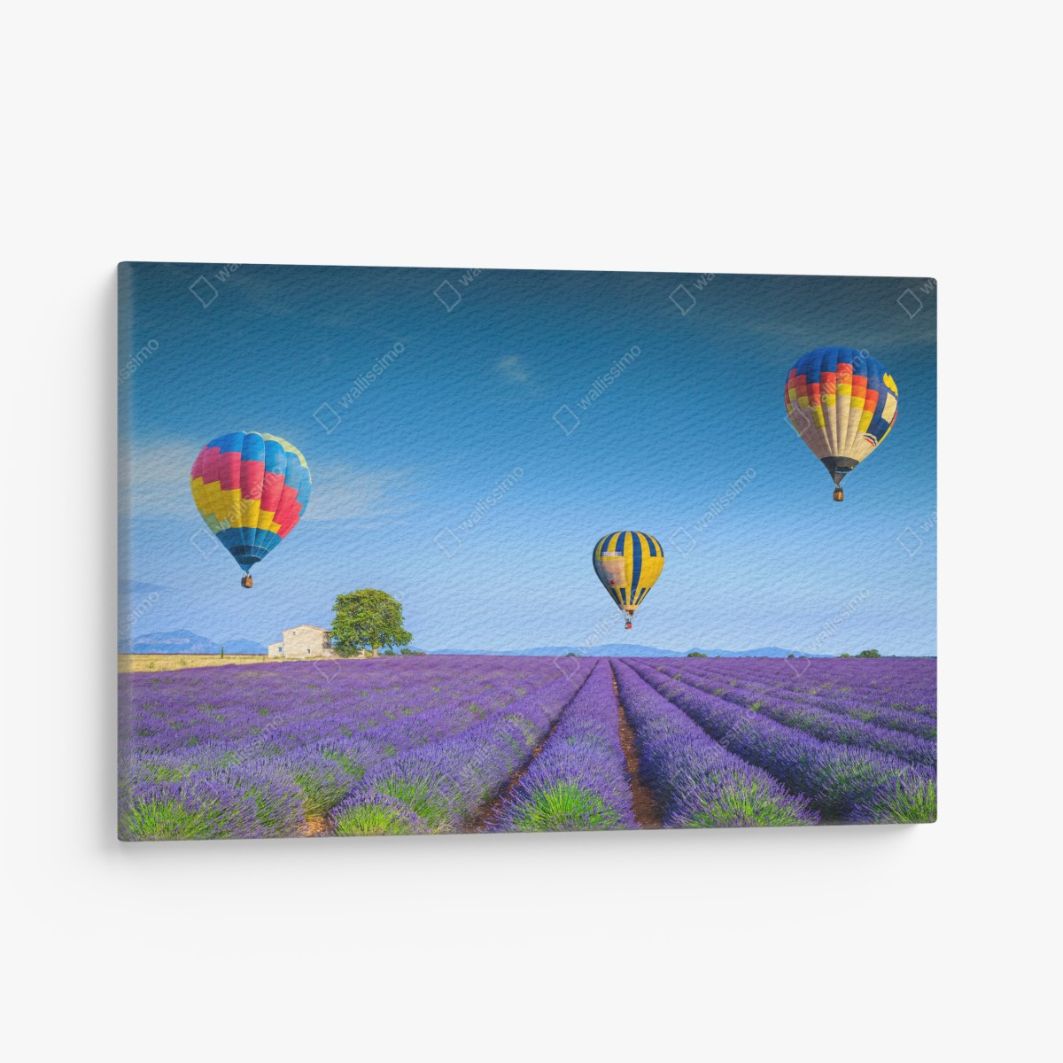 Leinwandbild lavendelfelder bei Valensole mit luftballons – Wallnifity®
