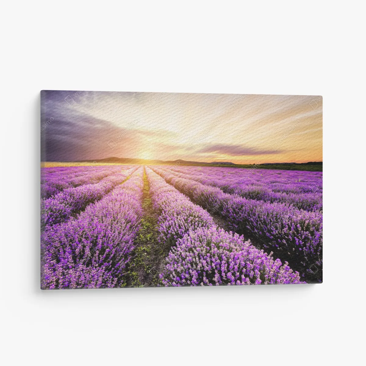 Leinwandbild sonnenaufgang über lavendelfeldern – Wallnifity®
