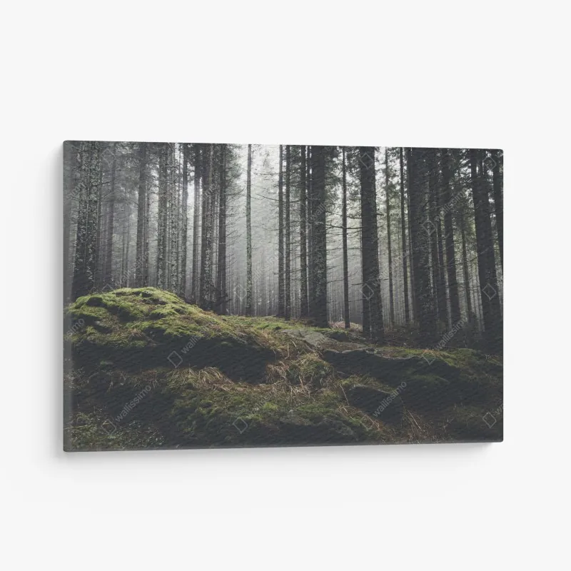 Leinwandbild kirschblütenallee im frühling – Wallnifity®