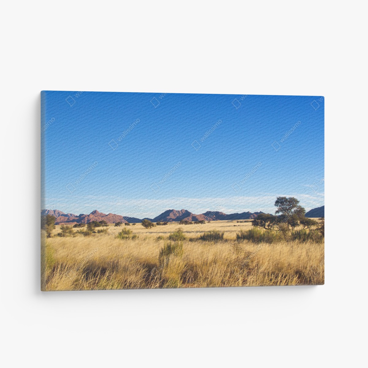 Leinwandbild ruhige savannenlandschaft unter klarem blauem himmel – Wallnifity®