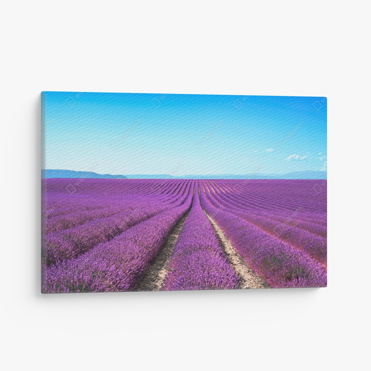 Leinwandbild lavendelfelder unter blauem himmel – Wallnifity®