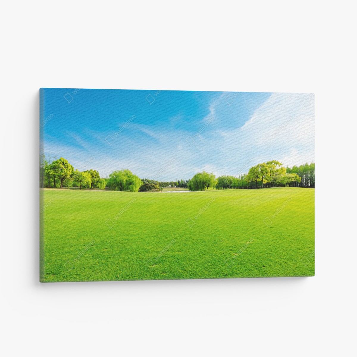 Leinwandbild friedliche grüne wiese unter blauem himmel – Wallnifity®