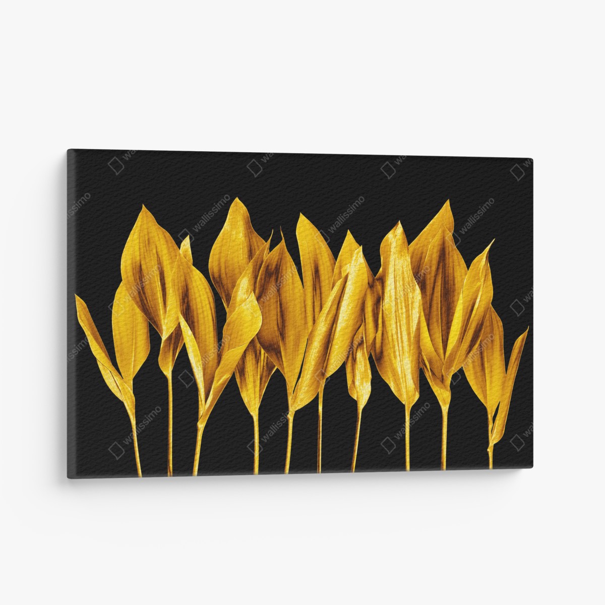 Leinwandbild goldene blätter auf schwarzem hintergrund – Wallnifity®