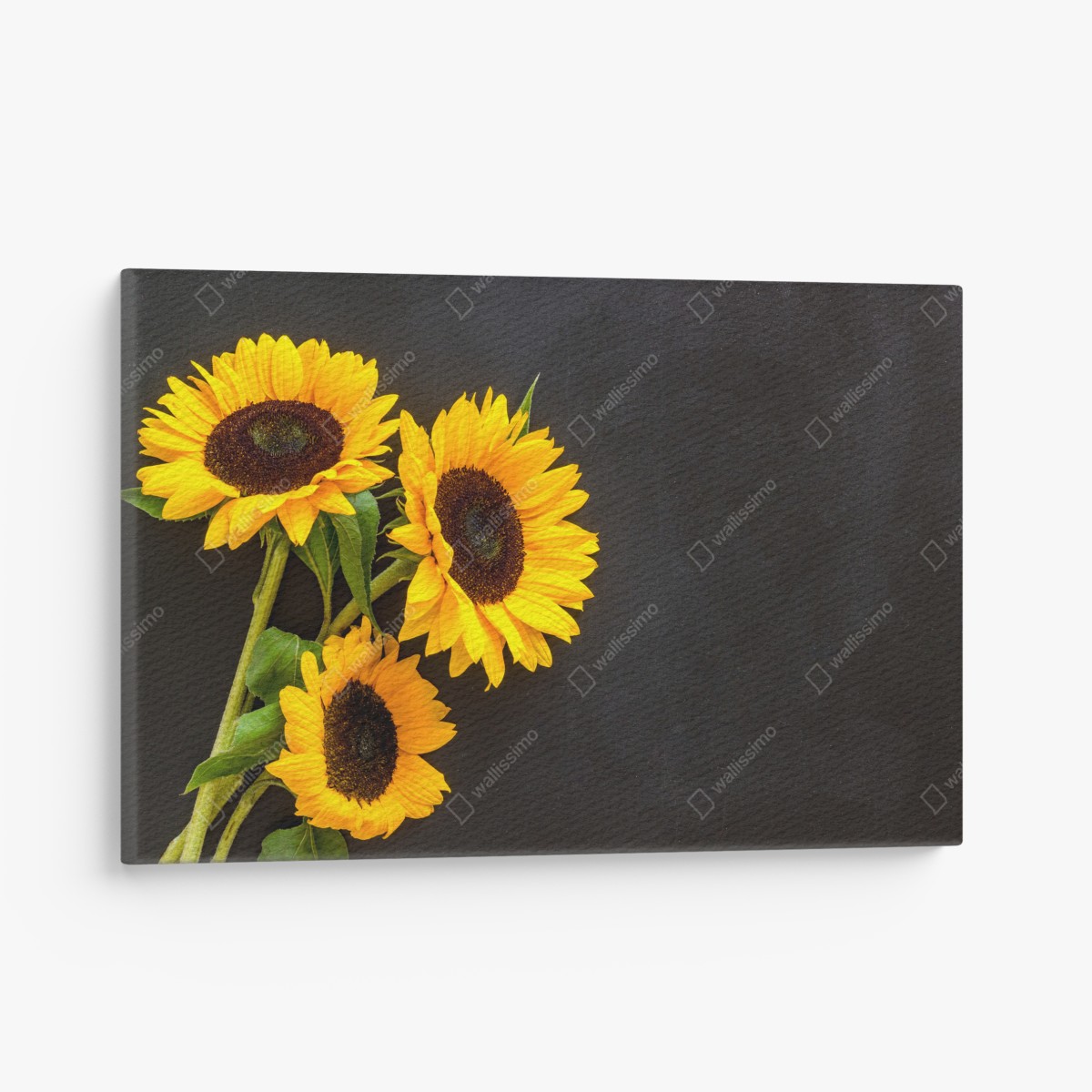 Leinwandbild sonnenblumenstrauß auf schwarzem hintergrund – Wallnifity®