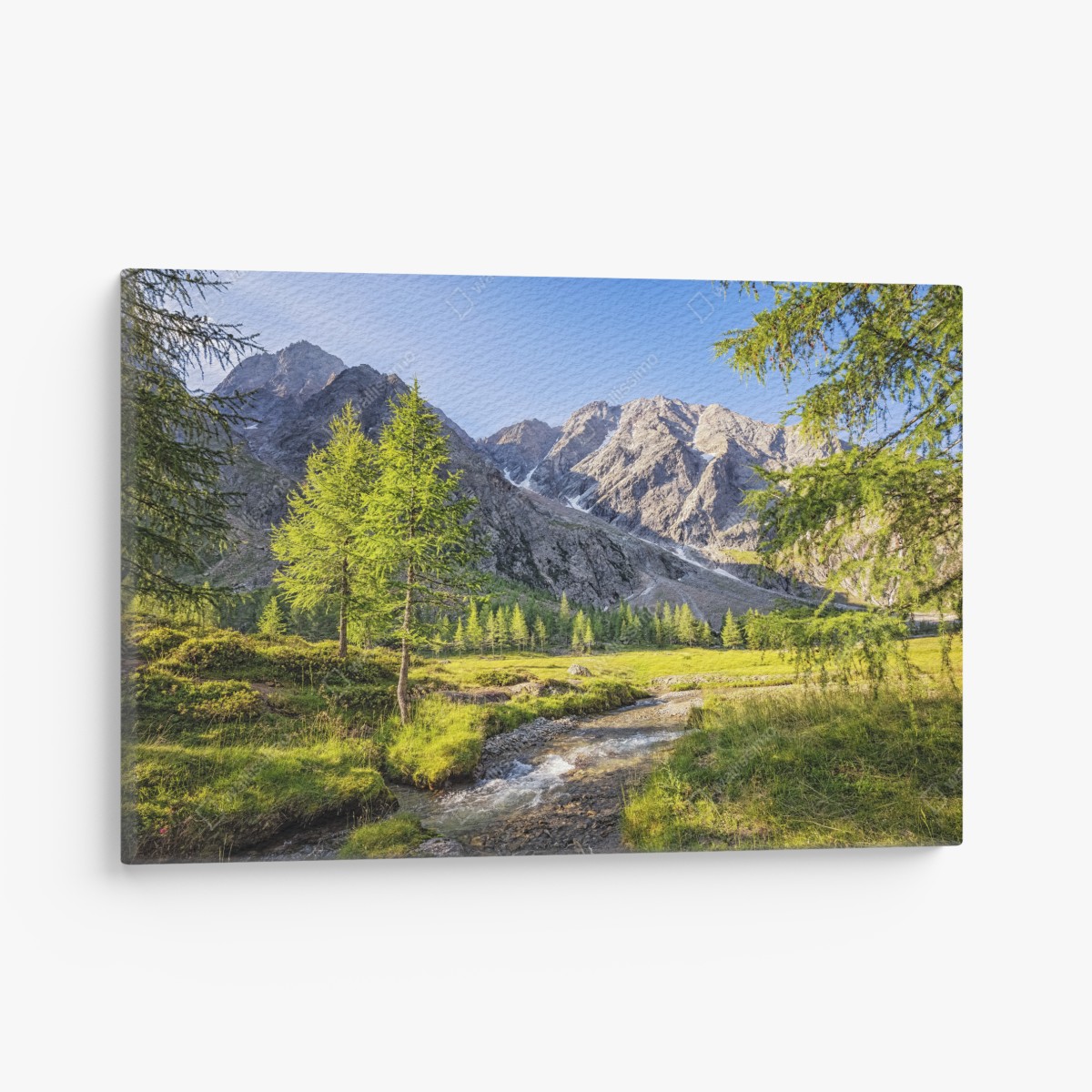 Leinwandbild alpine wiese mit bergbach – Wallnifity®