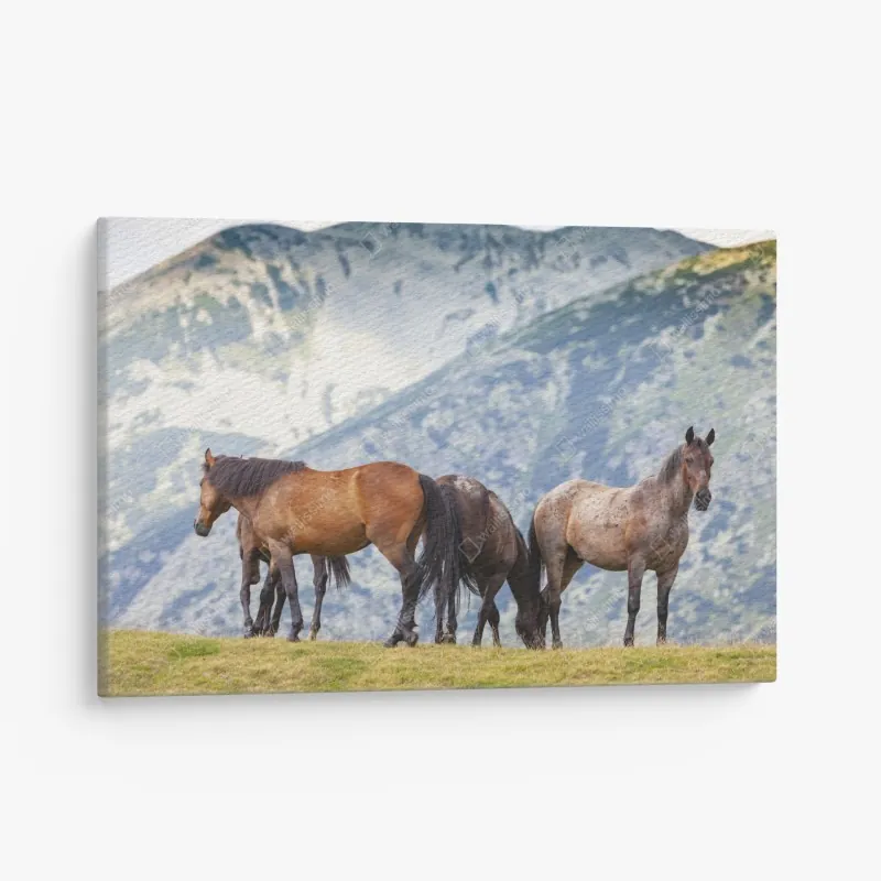 Leinwandbild duotone klassische büste im collage-stil – Wallnifity®