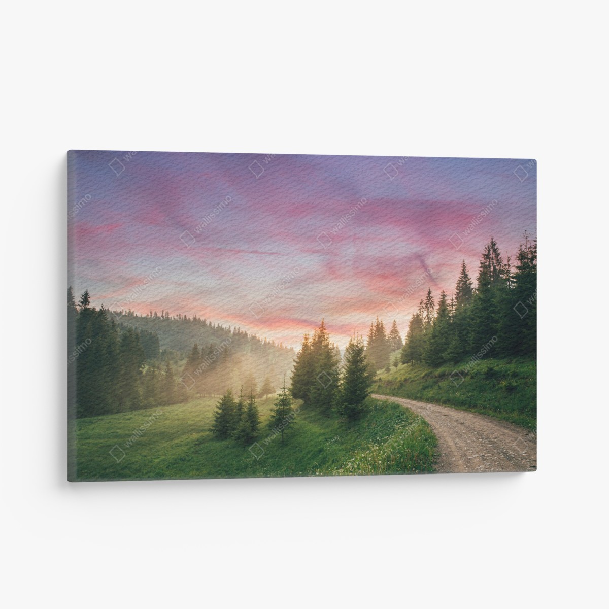 Leinwandbild nebliger sonnenuntergang im kiefernwald – Wallnifity®