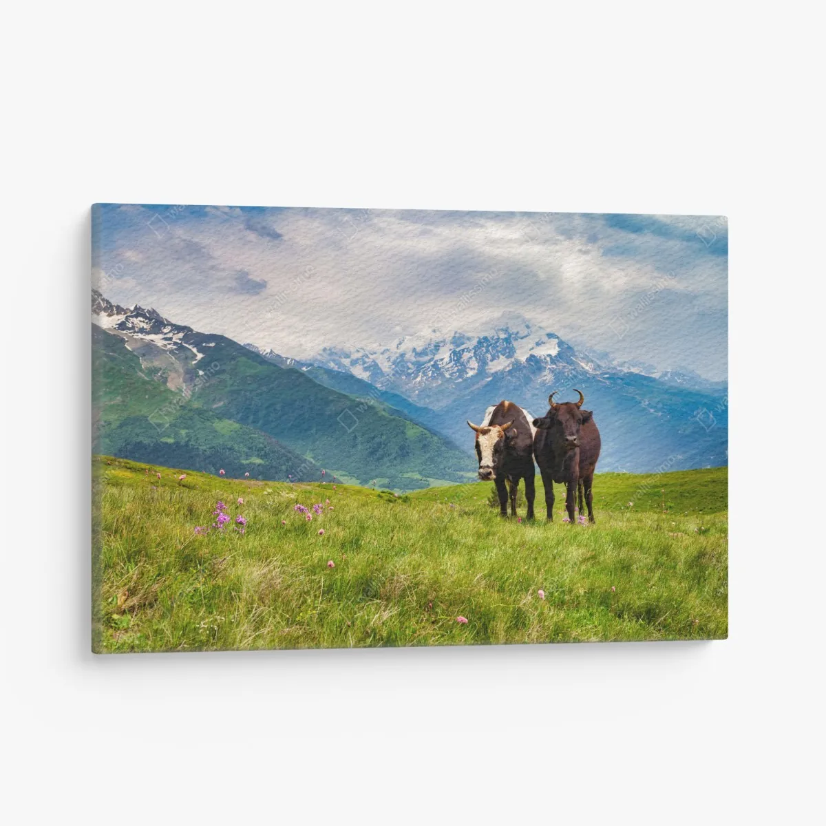 Leinwandbild alpenwiese mit grastenden kühen – Wallnifity®