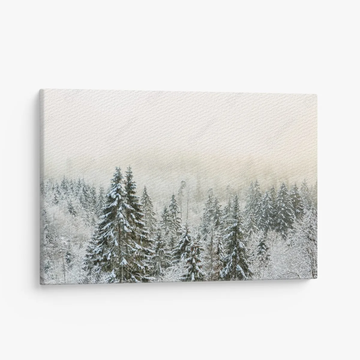 Leinwandbild verschneiter wald im sanften nebel – Wallnifity®