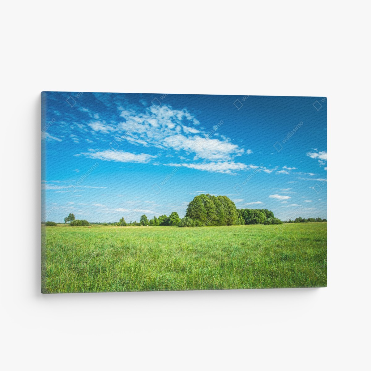 Leinwandbild sonnige grüne wiese unter blauem himmel – Wallnifity®