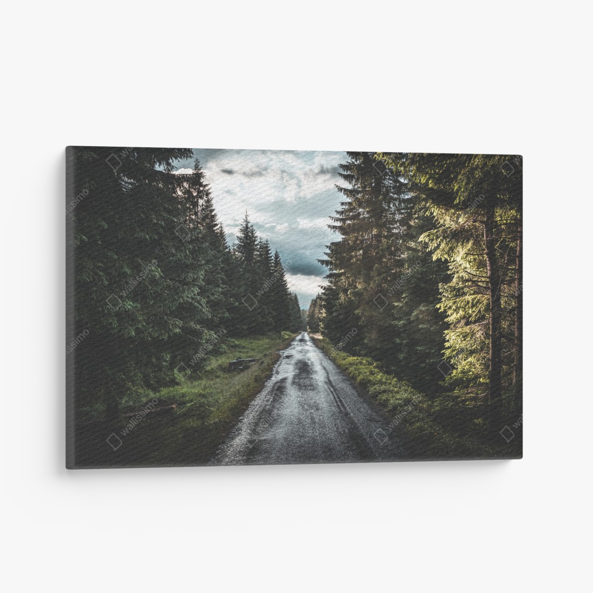 Leinwandbild waldweg durch neblige kiefern – Wallnifity®