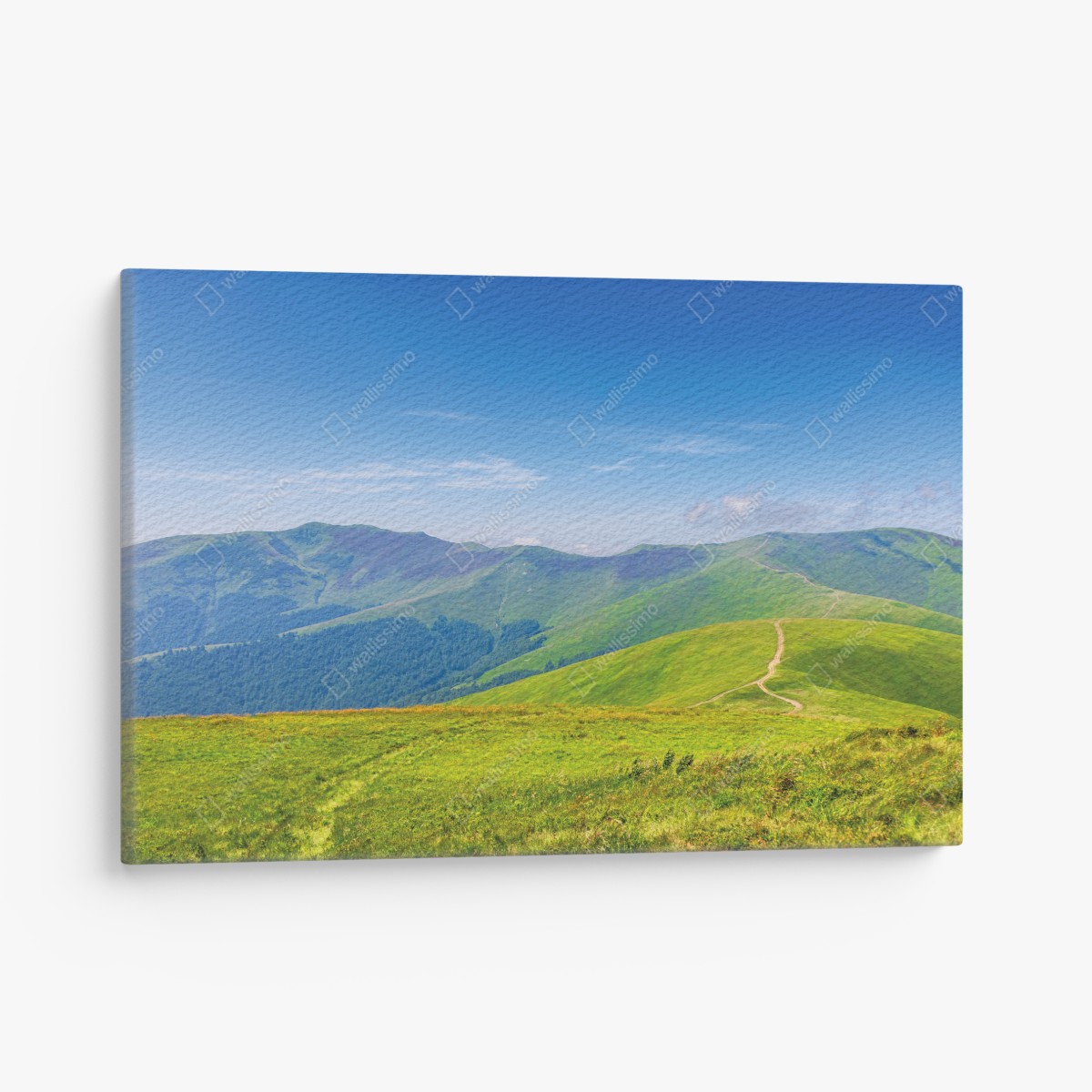 Leinwandbild sonnige Borzhava-wiese, Transkarpatien, Ukraine – Wallnifity®