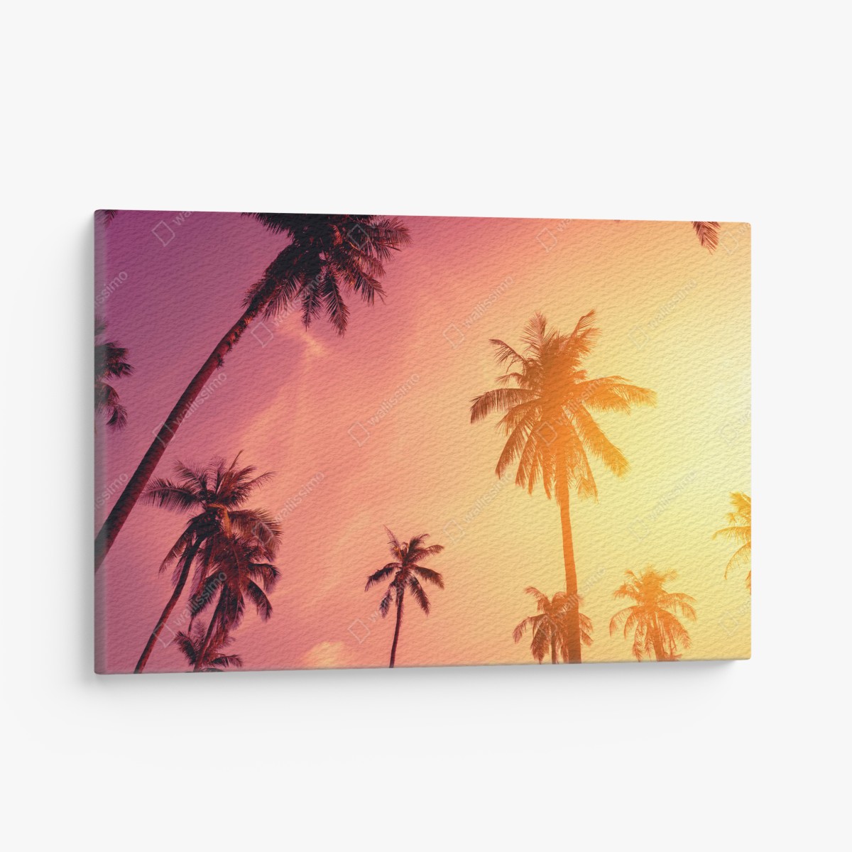 Leinwandbild tropischer sonnenuntergang mit palmen – Wallnifity®