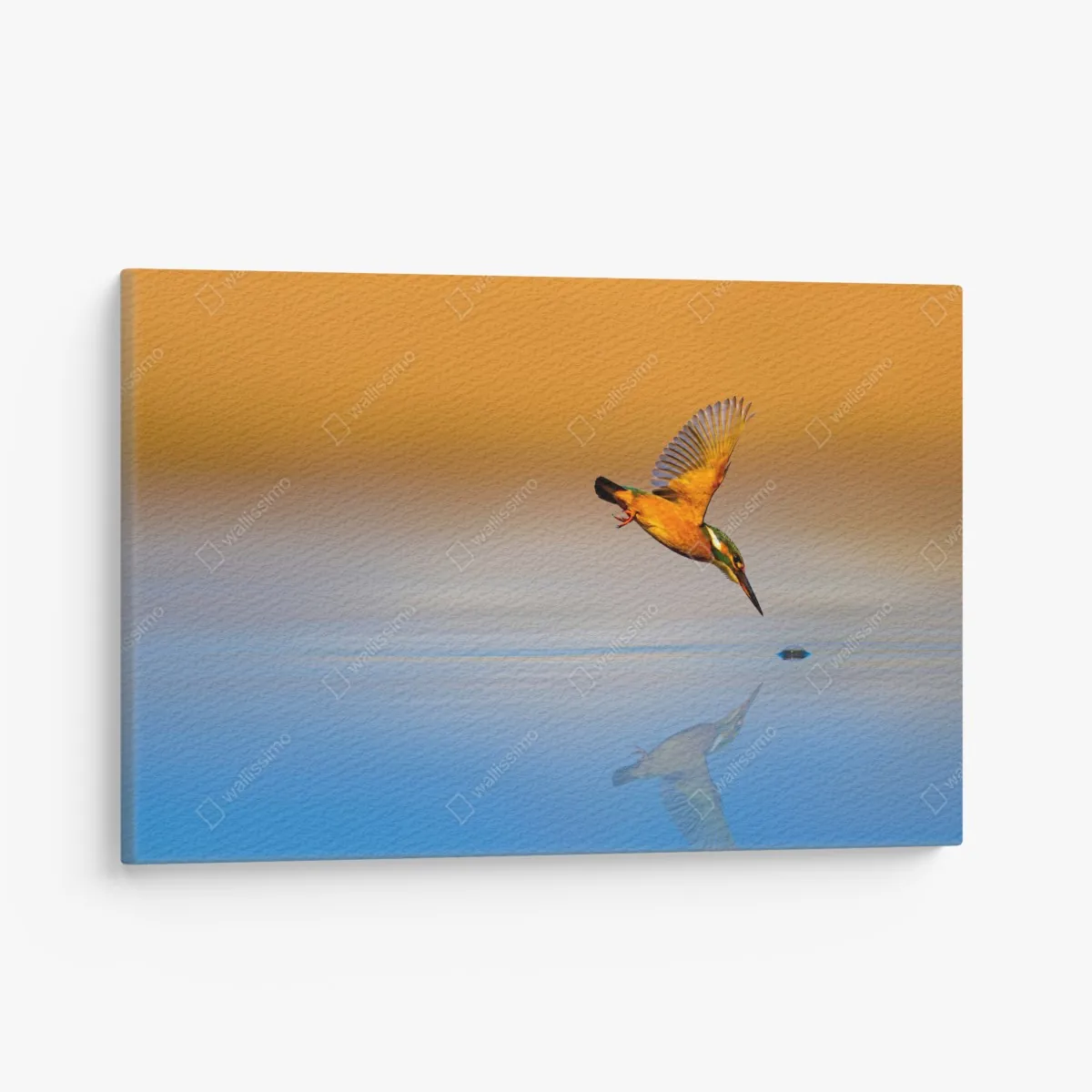 Leinwandbild eisvogel beim tauchen über spiegelndem wasser – Wallnifity®