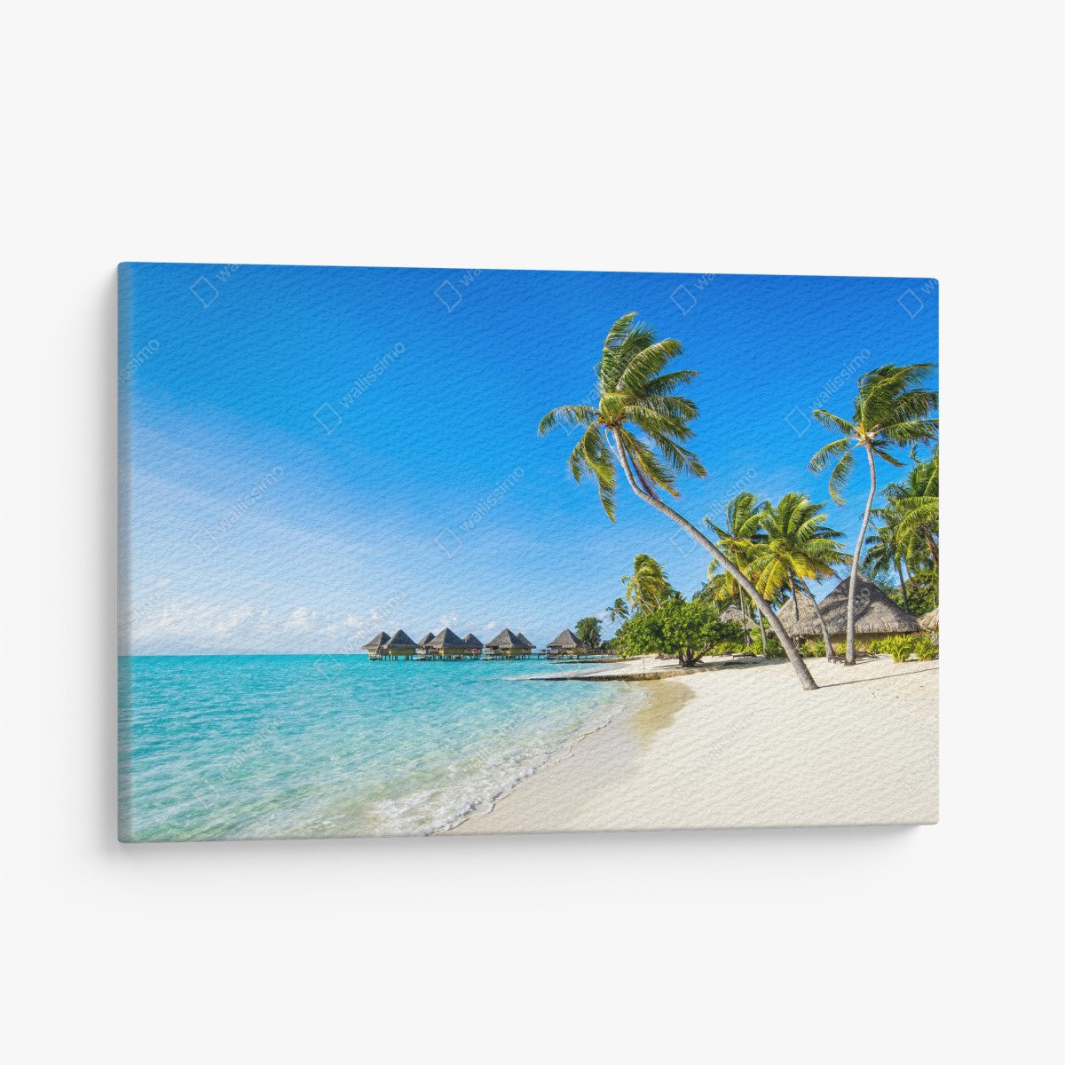 Leinwandbild tropischer türkisfarbener strand mit palmen – Wallnifity®