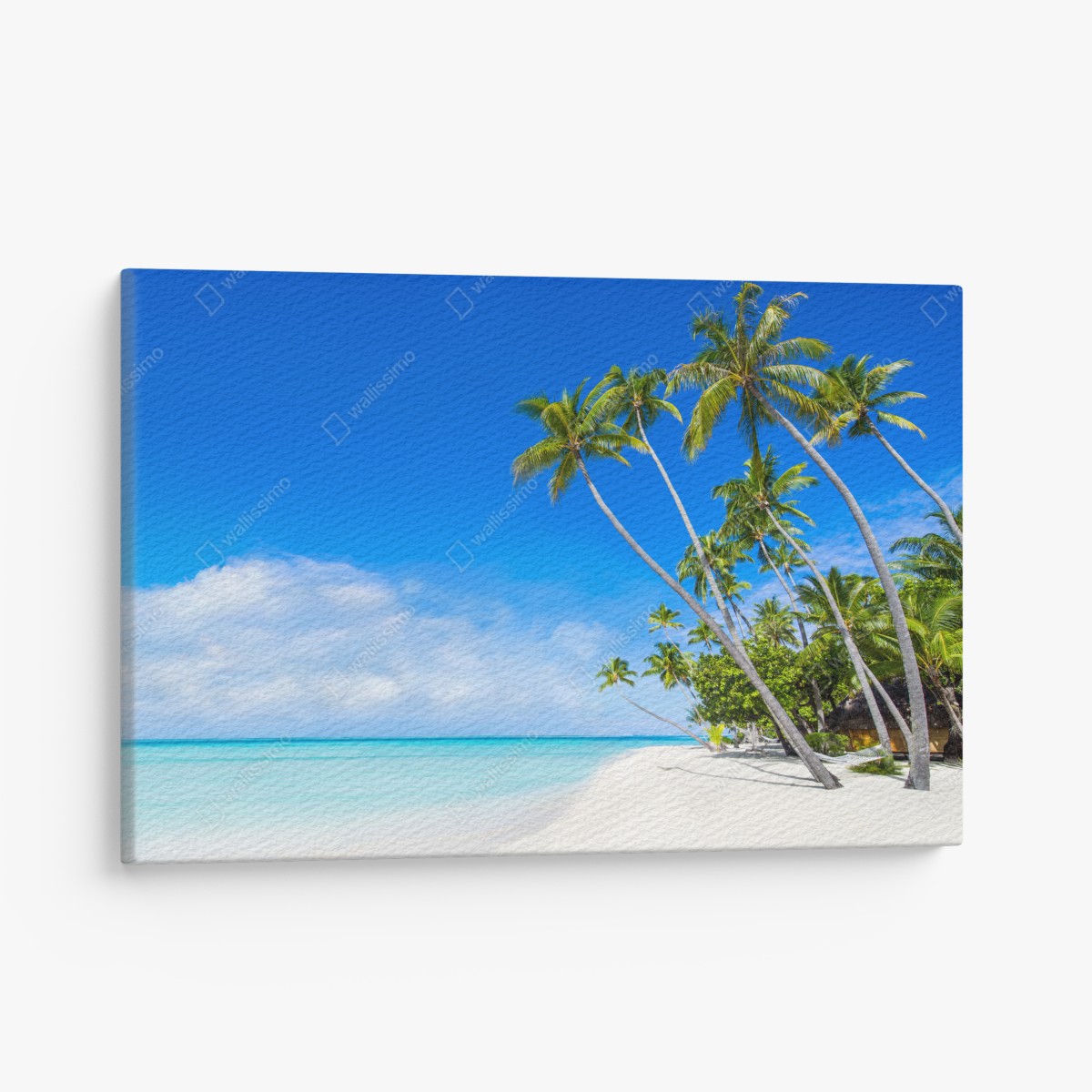 Leinwandbild tropischer palmenstrand – Wallnifity®