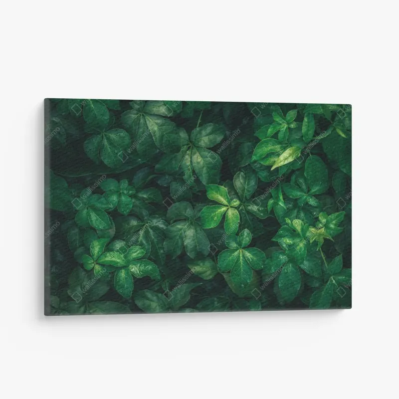 Leinwandbild türkis und gold abstrakte fließmalerei – Wallnifity®