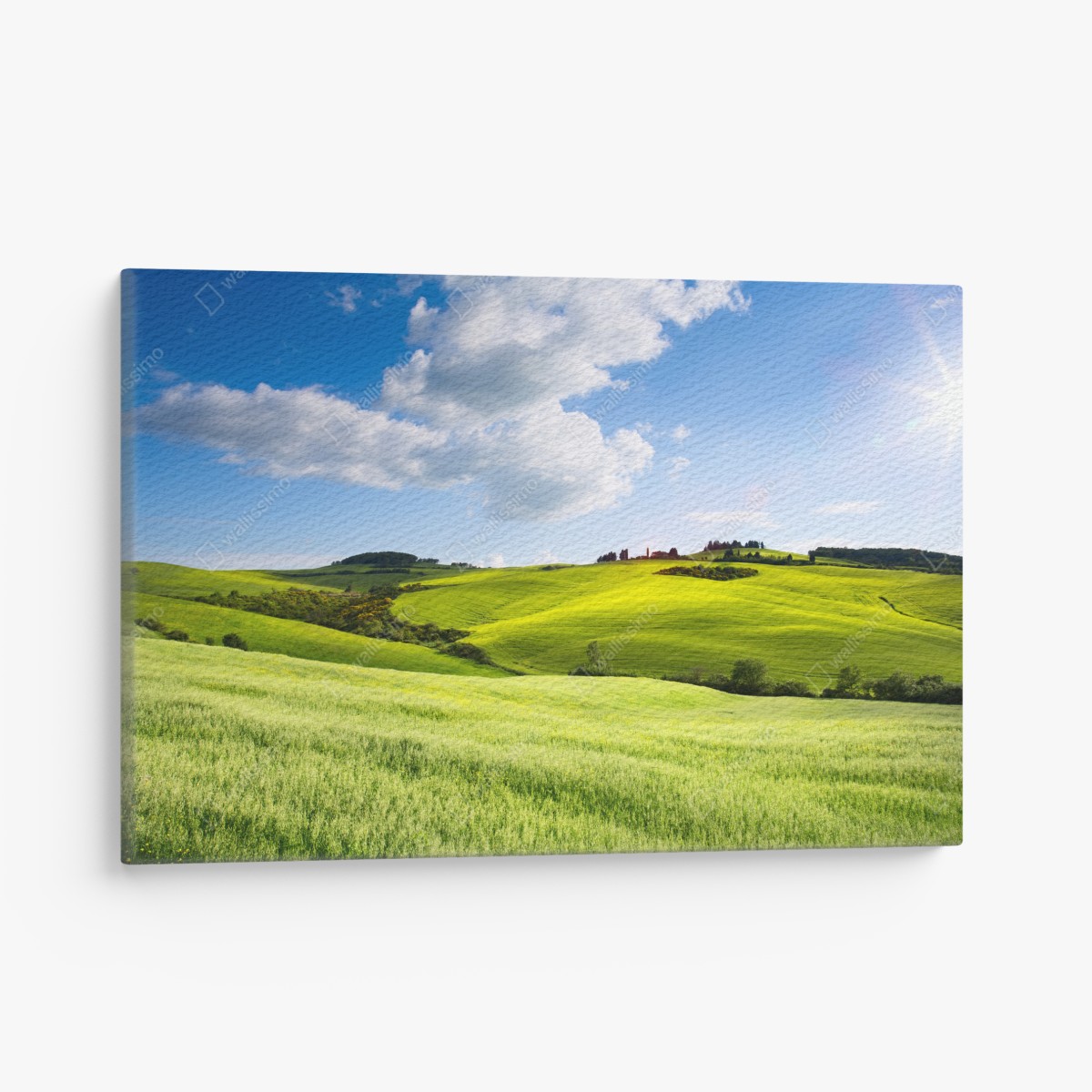 Leinwandbild Toskana sanfte hügel bei sonnenuntergang – Wallnifity®