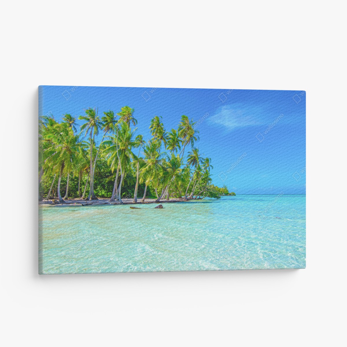 Leinwandbild tropischer palmenstrand – Wallnifity®