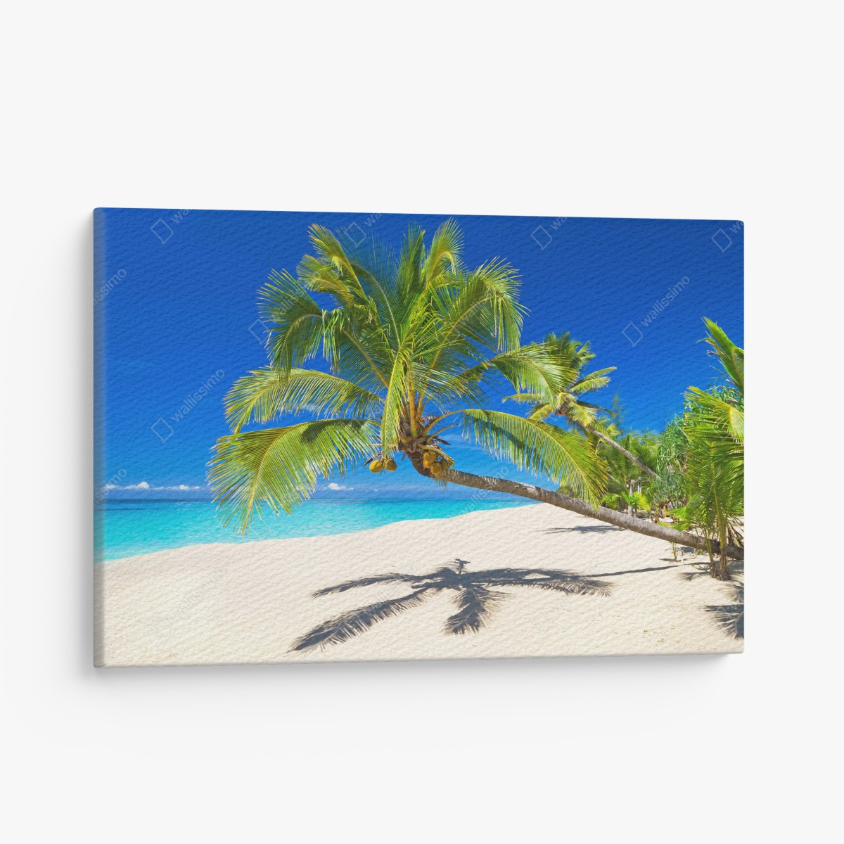 Leinwandbild Andamansee tropischer strand mit geneigter palme – Wallnifity®