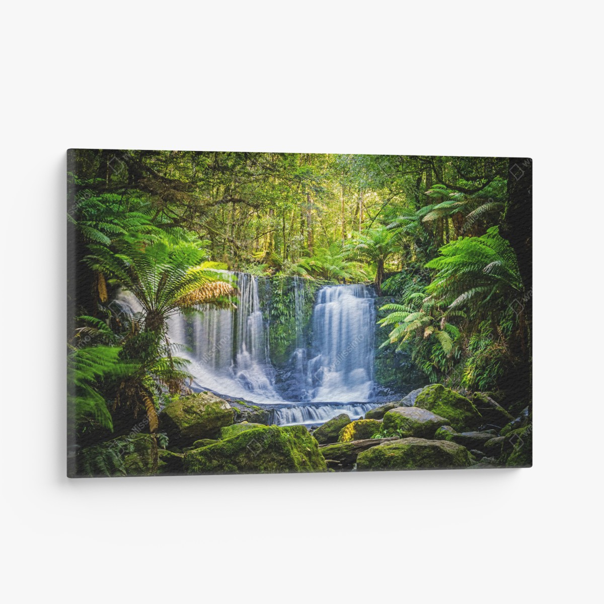 Leinwandbild üppiger wasserfall im Mt Field National Park, Tasmania – Wallnifity®
