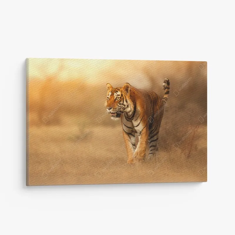 Leinwandbild moosiger regenwaldpfad auf der Tasman-Halbinsel – Wallnifity®