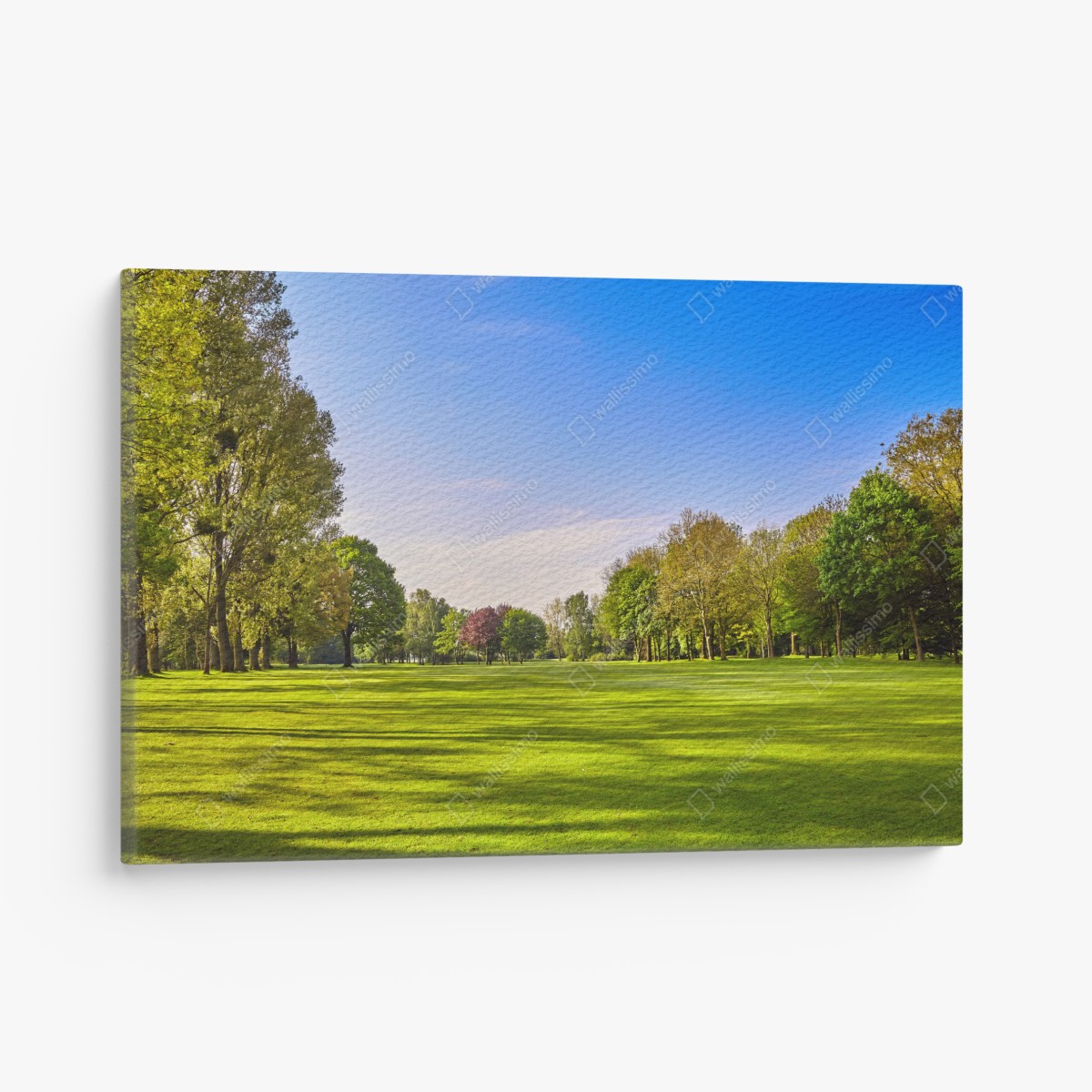 Leinwandbild sonnige panoramaaufnahme eines stadtparks – Wallnifity®
