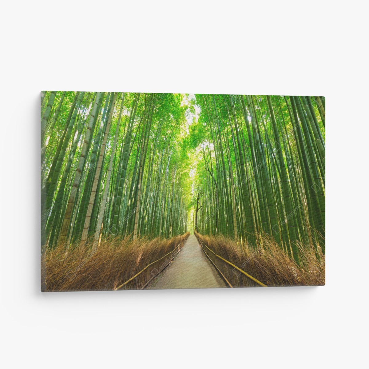 Leinwandbild ruhiger bambusweg in Kyoto – Wallnifity®