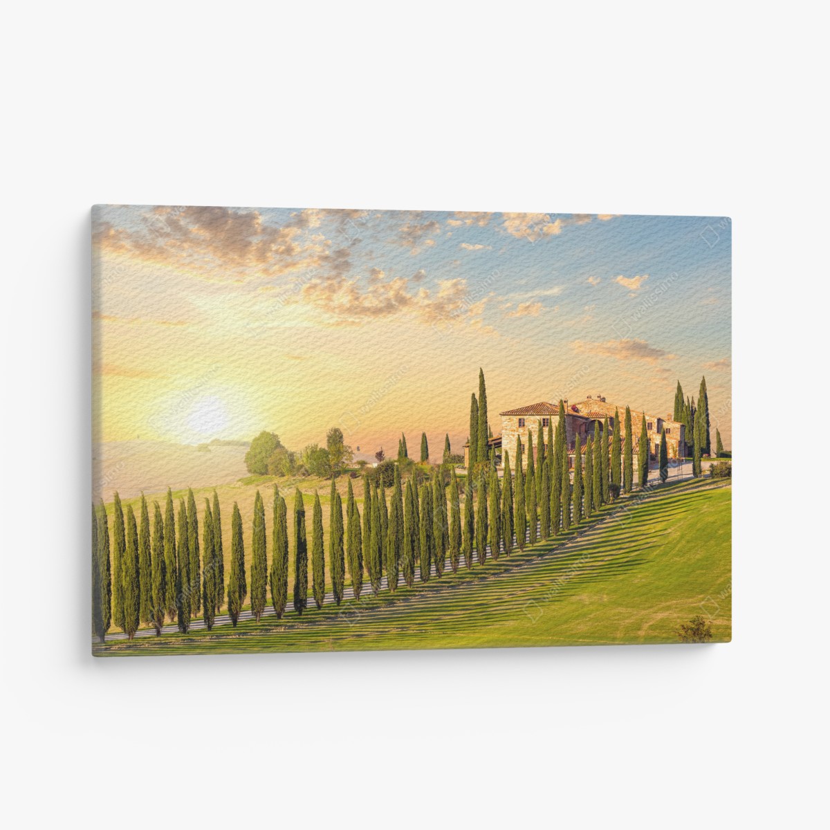 Leinwandbild Toskana sonnenuntergang zypressenallee – Wallnifity®