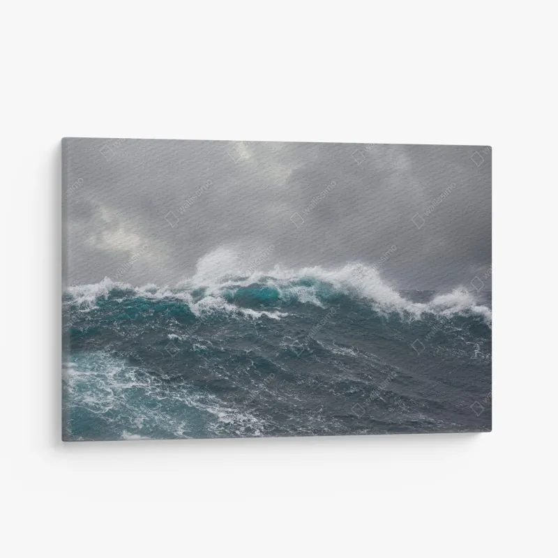 Leinwandbild weiße rose vor schwarzem hintergrund – Wallnifity®