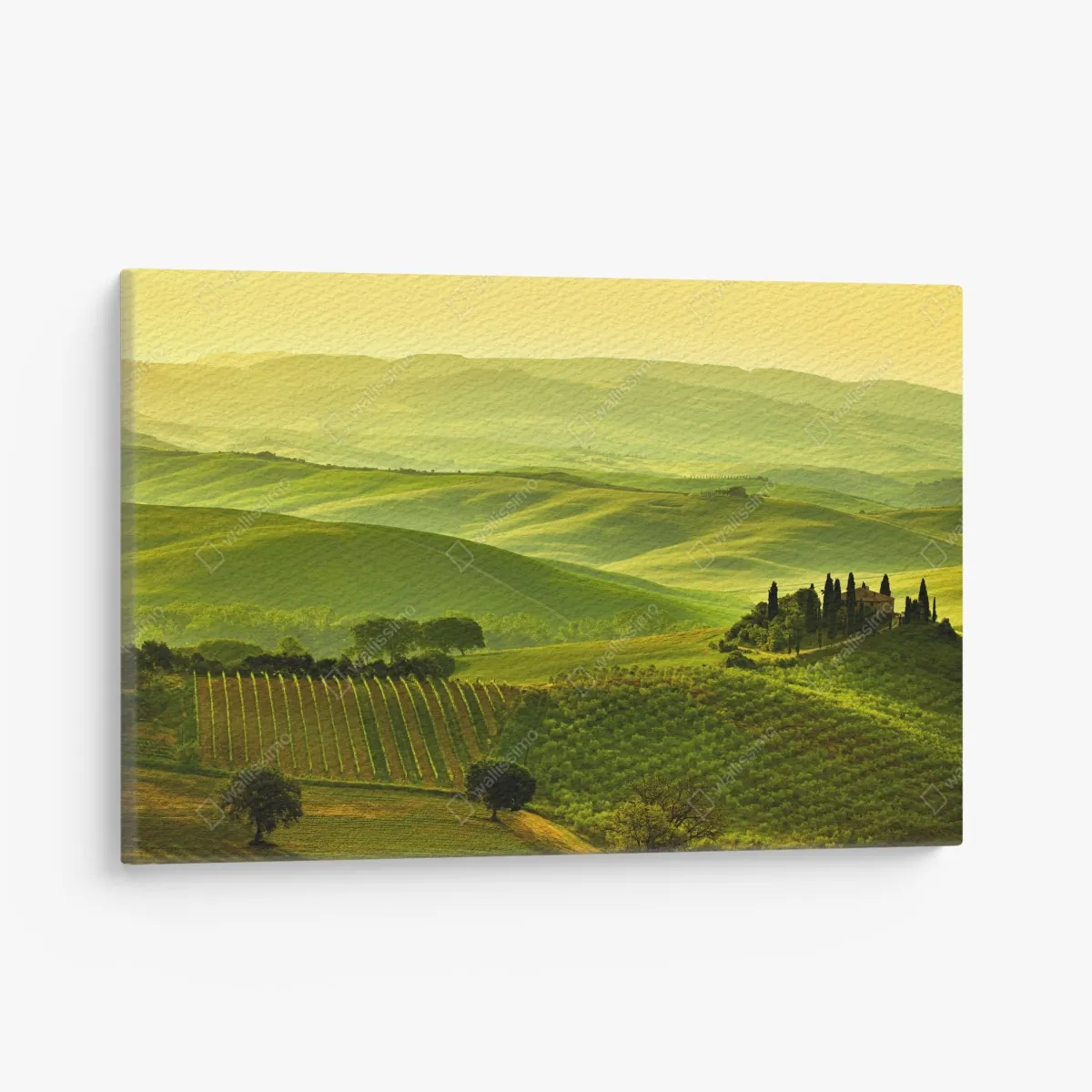 Leinwandbild Toskana sanfte hügel – Wallnifity®