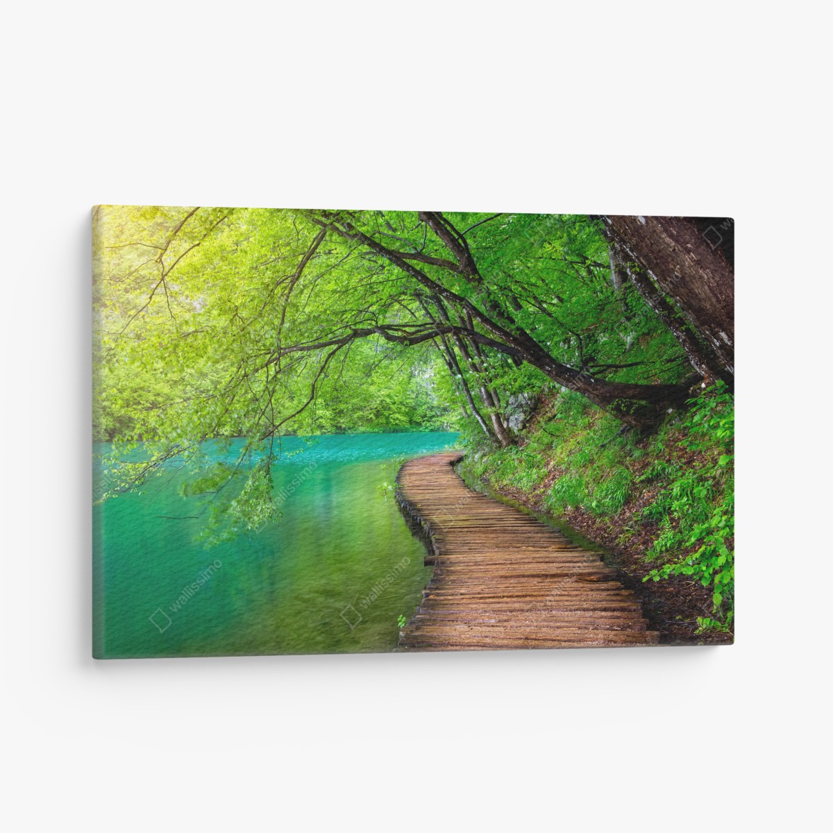 Leinwandbild ruhiger holzsteg am see im grünen wald – Wallnifity®