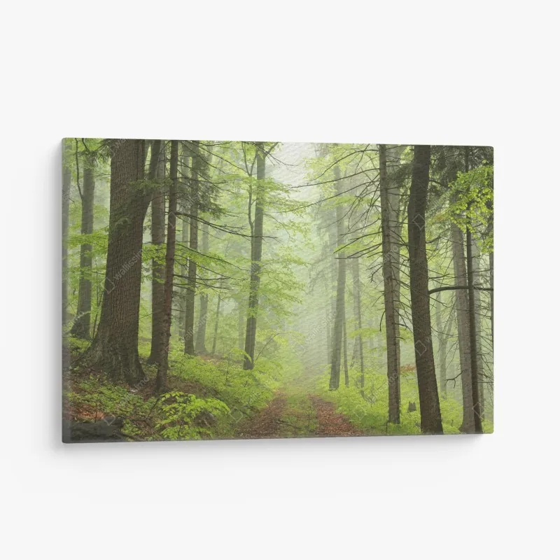 Leinwandbild nebliger sonnenaufgang über dem holzsteg – Wallnifity®