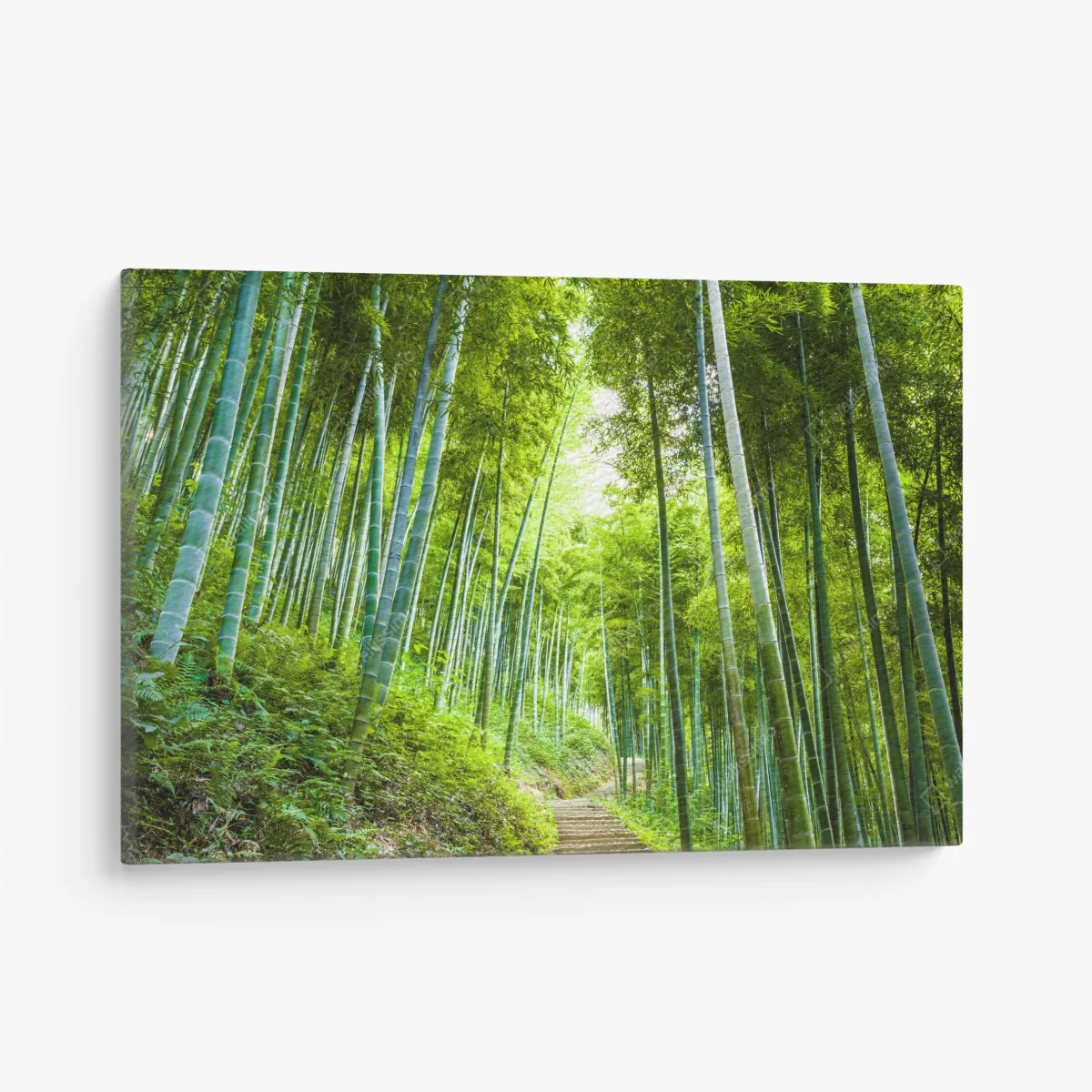 Leinwandbild ruhiger bambuswaldweg – Wallnifity®