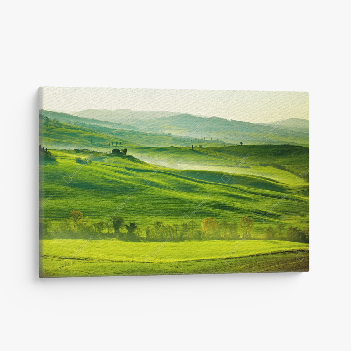 Leinwandbild sonnige sanft hügelnde landschaft der Toskana – Wallnifity®