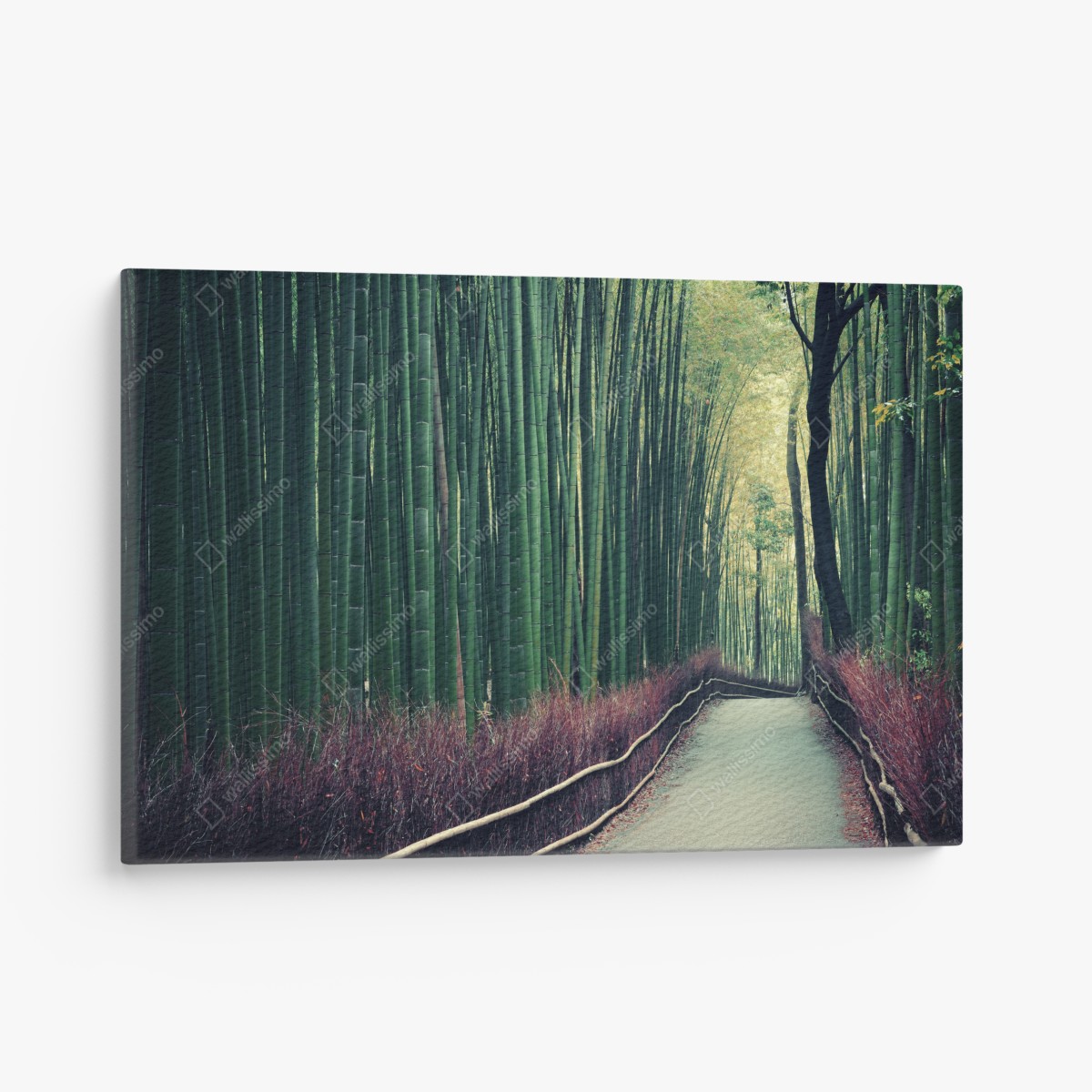 Leinwandbild ruhiger bambuspfad in Arashiyama – Wallnifity®
