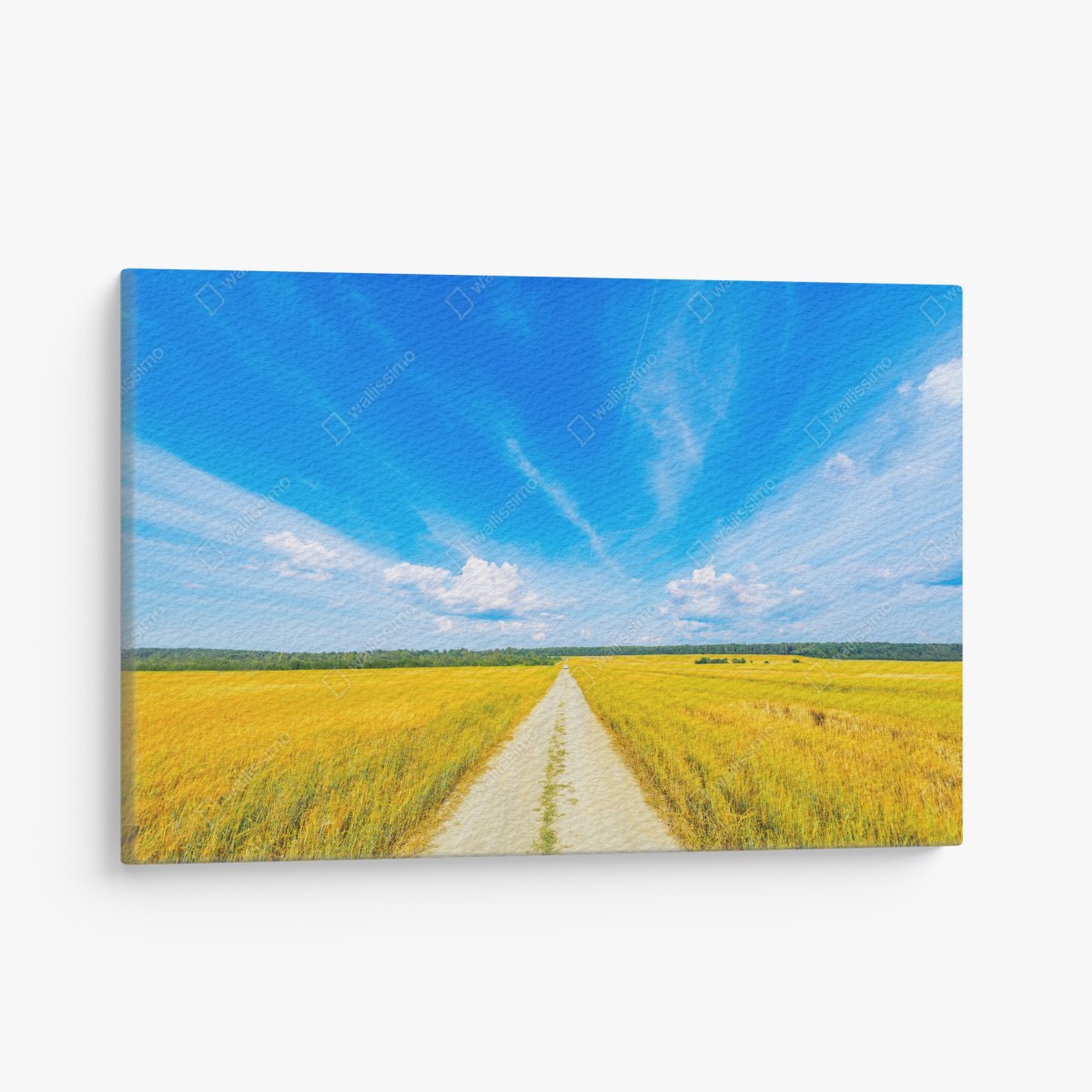 Leinwandbild goldene wiese unter weitem blauem himmel – Wallnifity®